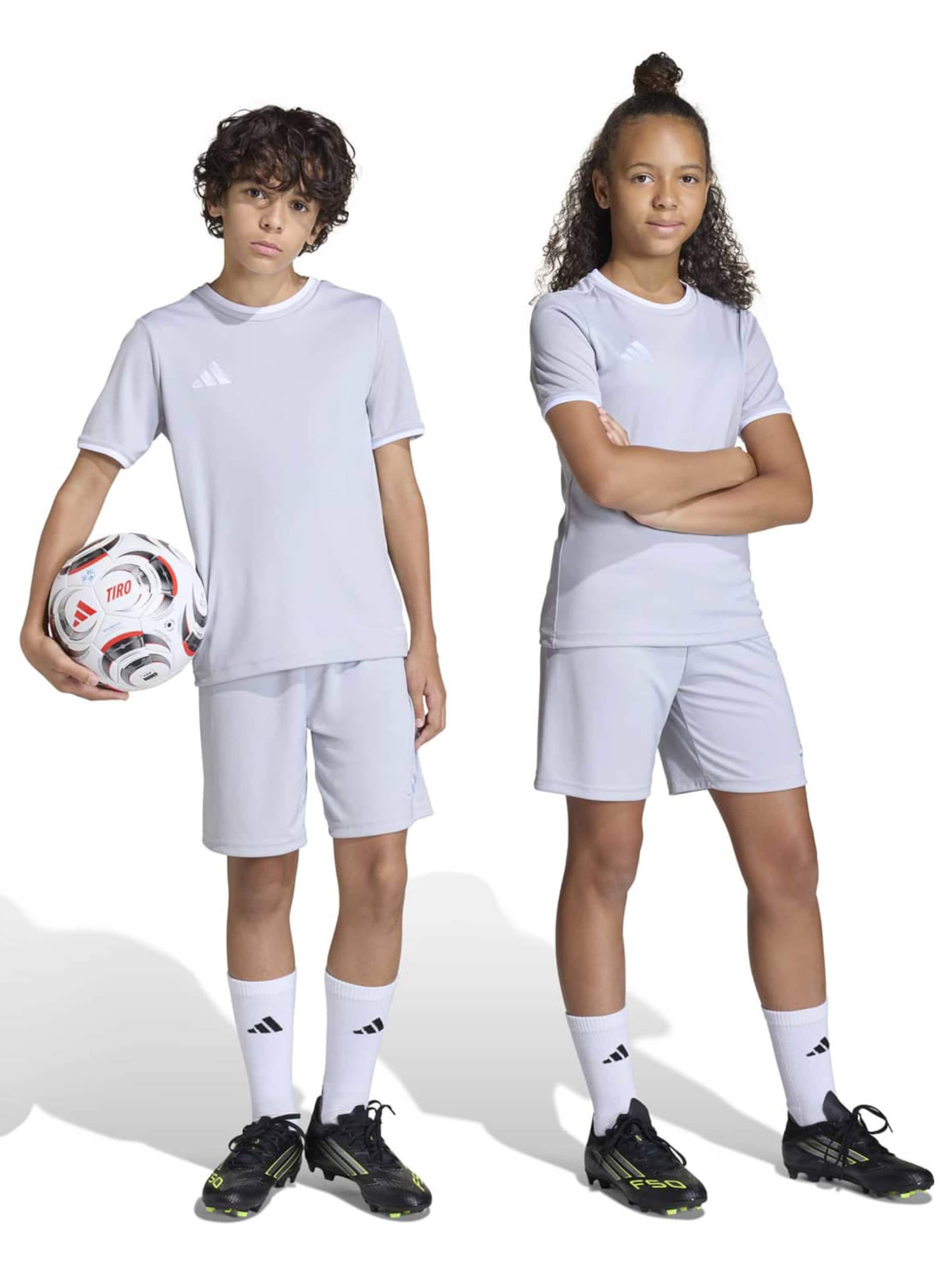 ADIDAS PERFORMANCE - regular Pantalón deportivo 'ENT26' en gris