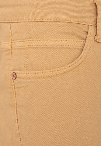 Redbridge Regular Chino Pants 'Rayleigh' in Brown