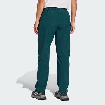 ADIDAS TERREX Regular Sports trousers 'Liteflex' in Green