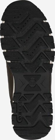 GEOX Sneakers laag 'U Delray A' in Groen