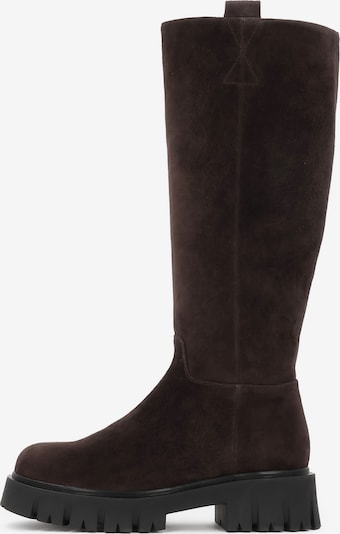 Kazar Zābaki, krāsa - tumši brūns, Preces skats