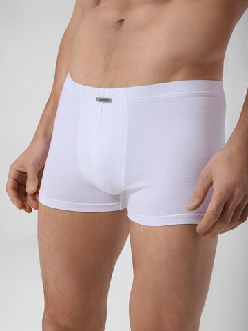 Ammann Boxershorts ' Close To You ' in Wit