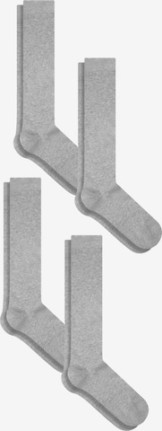 Albero Natur Knee High Socks in Grey: front