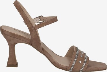 CAPRICE Sandals in Brown