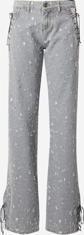 Chiara Ferragni Regular Jeans in Grey: front