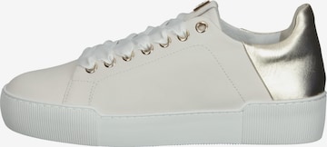 Högl Sneakers 'Blade' in Beige