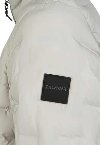 CALAMAR Winterjas in Grijs