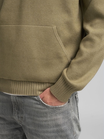 REPLAY Pullover‌‌‌‌‌‌‌ in Grün