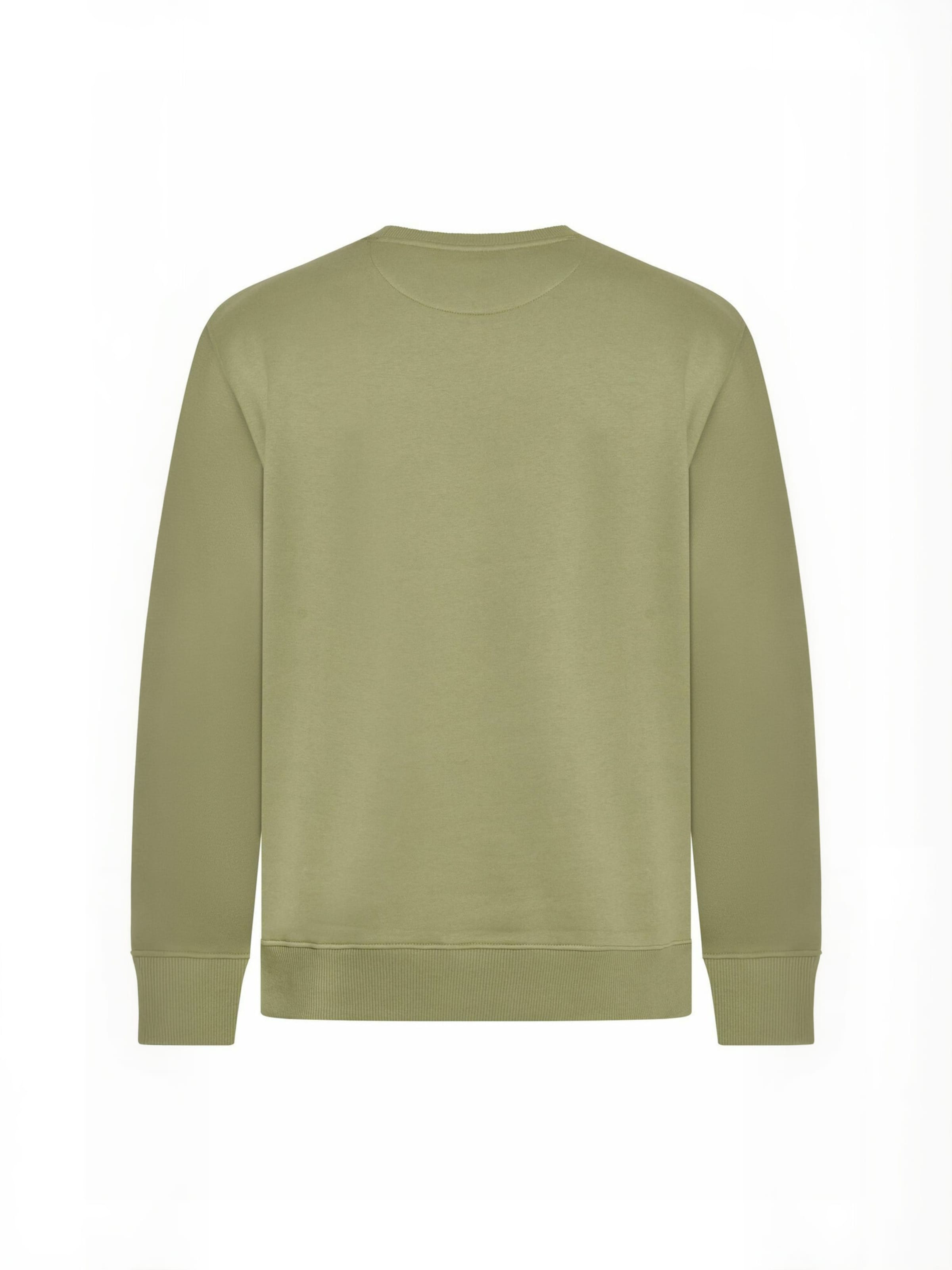 Signal Sweater ' MadsSi ' in Green