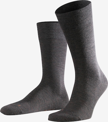 FALKE Socks in Brown: front