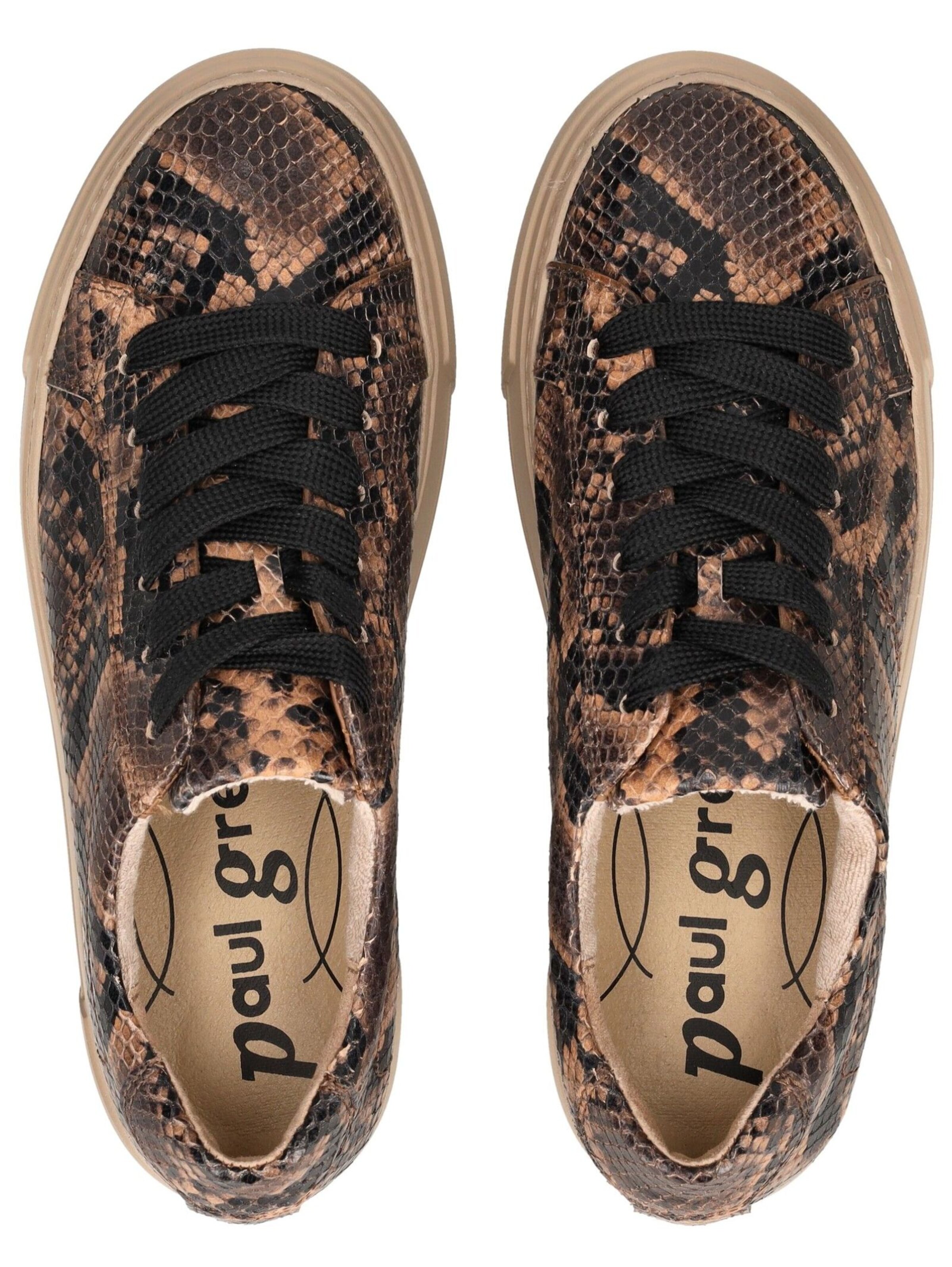 Paul Green Sneakers in Brown