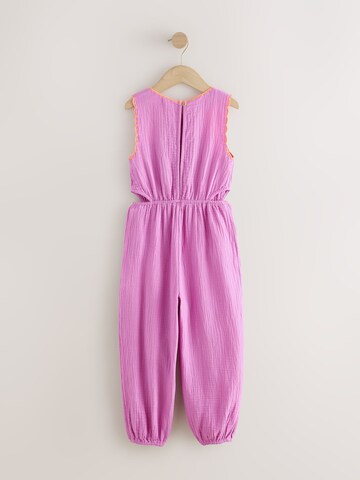 Next Overall in Lila