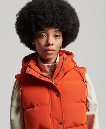 Gilet 'Vintage Everest' Superdry en orange