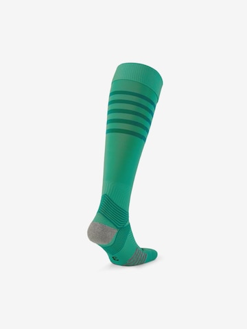 PUMA Soccer Socks in Green