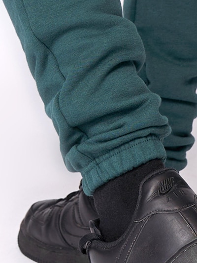 Fortex Fitness Sporthose 'Essential Jogger'‌‌‌‌‌‌‌‌‌‌ in S in dunkelgrün, Produktansicht