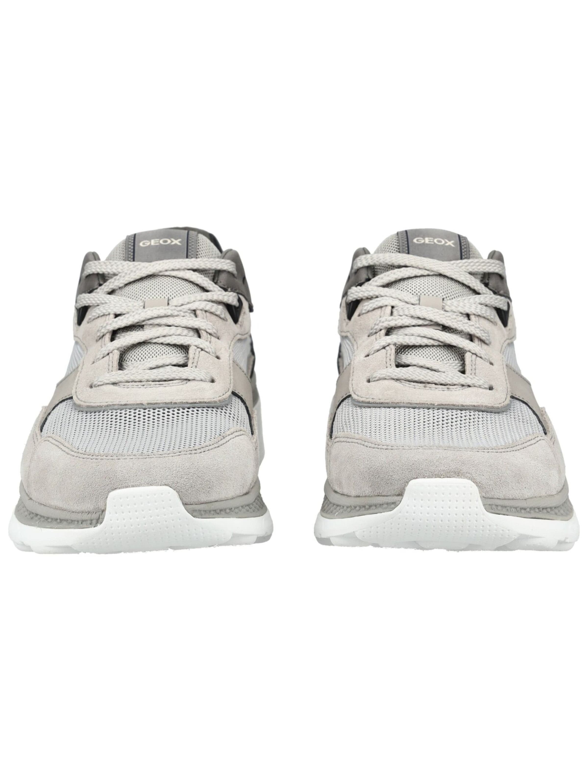 Sneaker bassa di GEOX in grigio