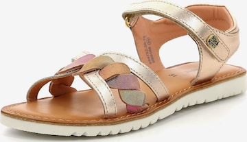 Kickers Sandals in Gold: front