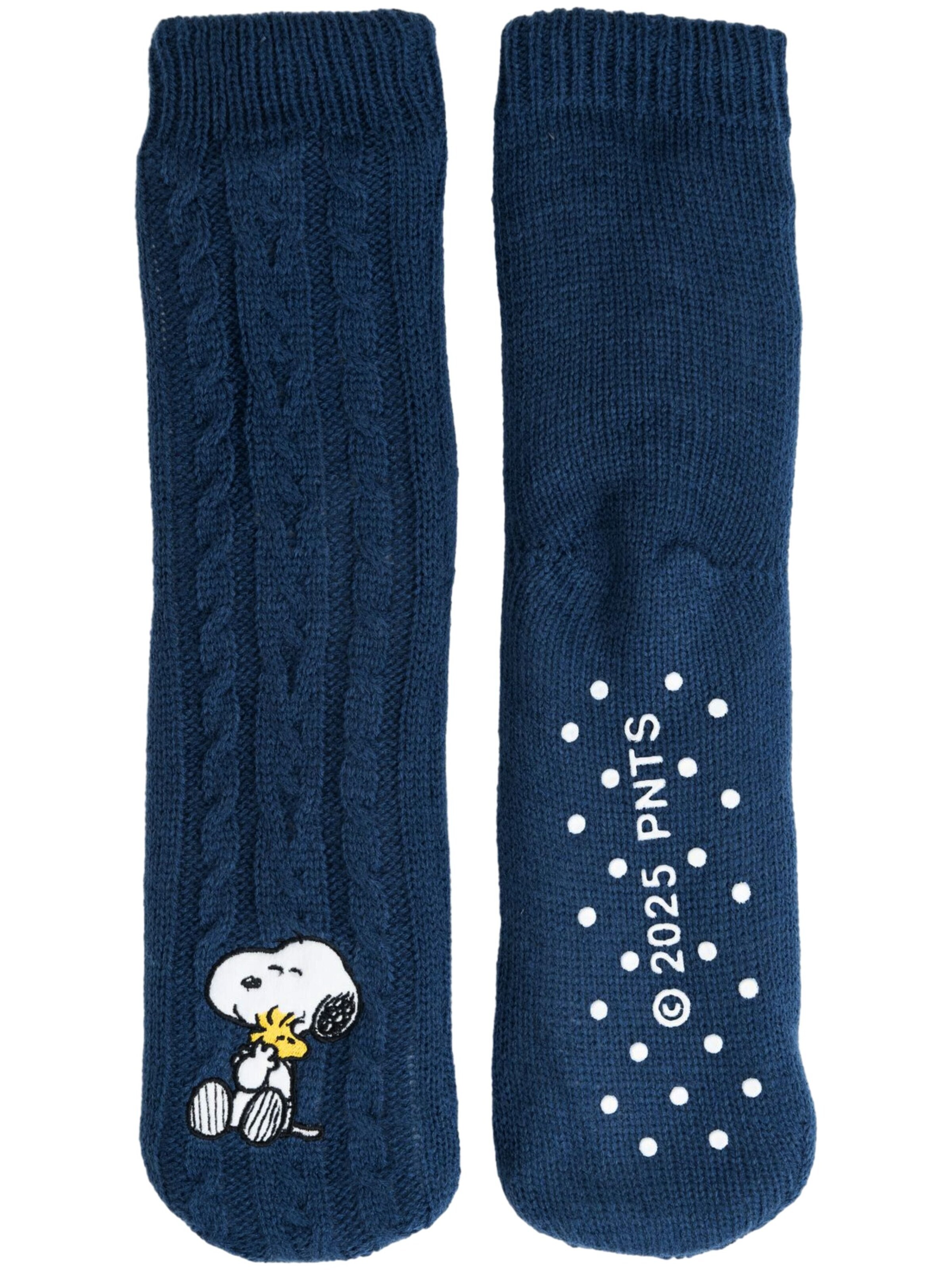 Snoopy & Die Peanuts Socks in Blue