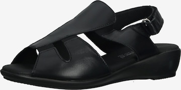 Arcopedico Sandals in Black: front