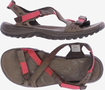 COLUMBIA Sandals & High-Heeled Sandals in 39 in Brown: front