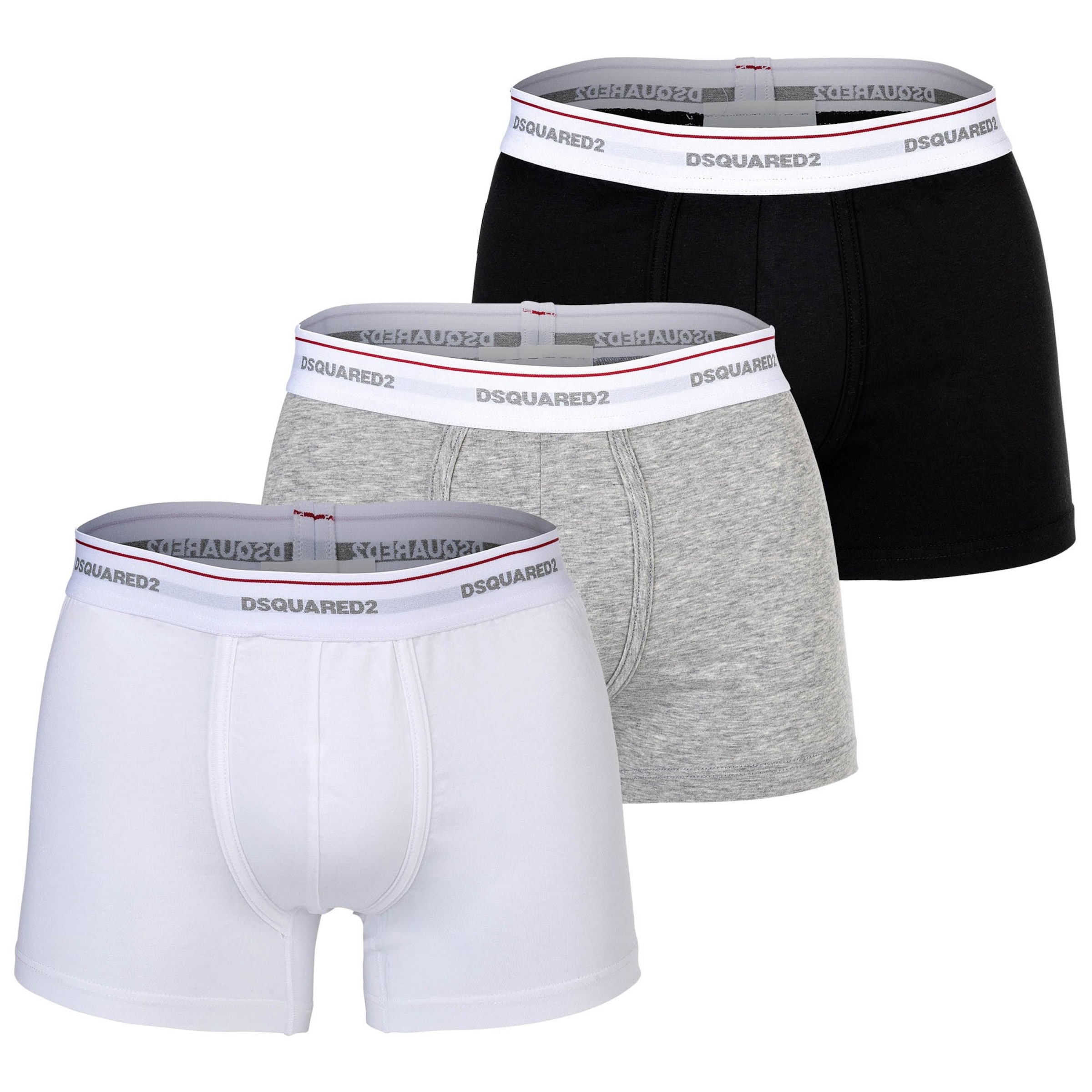 DSQUARED2 Boxer shorts in Mixed colors: front