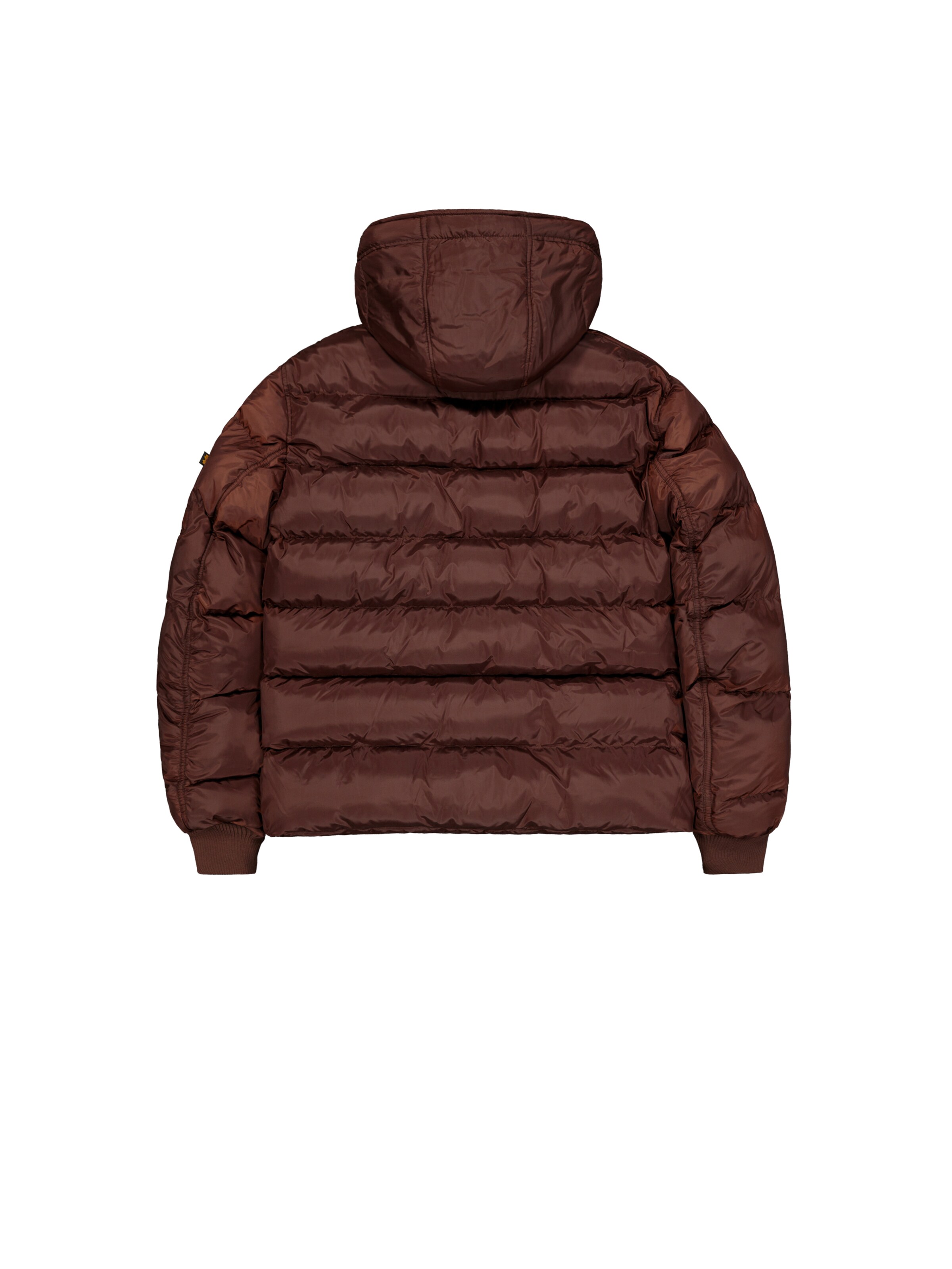ALPHA INDUSTRIES Kurtka zimowa w kolorze brązowy: tył