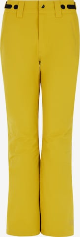 PROTEST Sporthose 'PRTCARMACKOS' in Grün