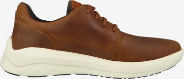 TIMBERLAND - Sapatilha com atacadores em castanho