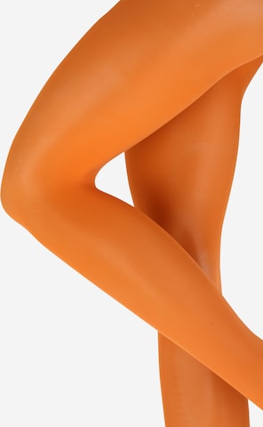 Lindex - Collants finos em laranja