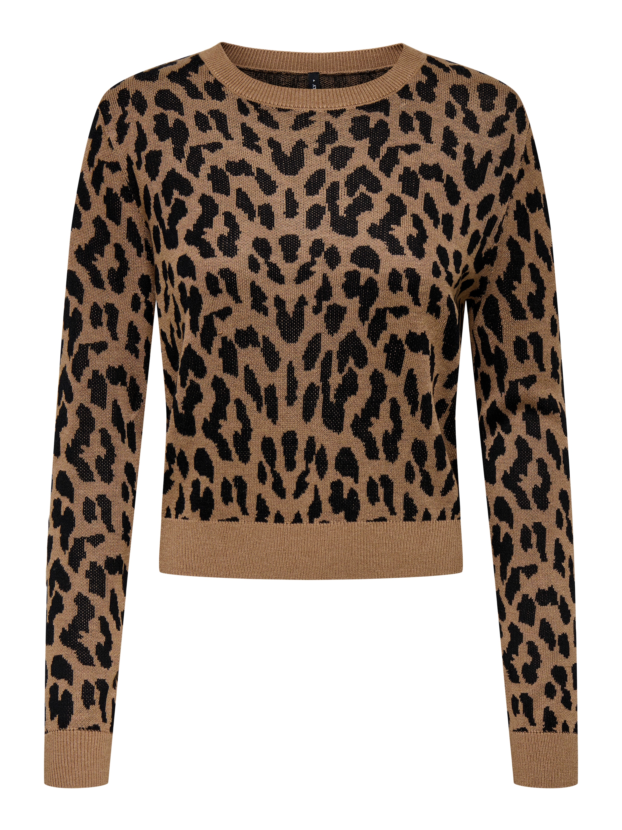 ONLY Trui 'ONLVienna' in Bruin: voorkant