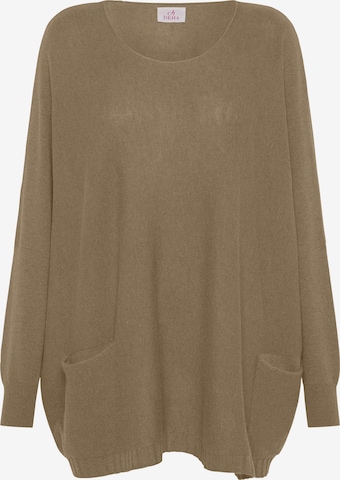DEHA Trui in Bruin: voorkant