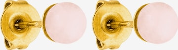 PURELEI Earrings in Pink: front