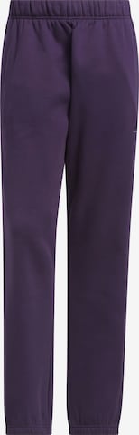 ADIDAS PERFORMANCE - Pantalón deportivo en lila: frente