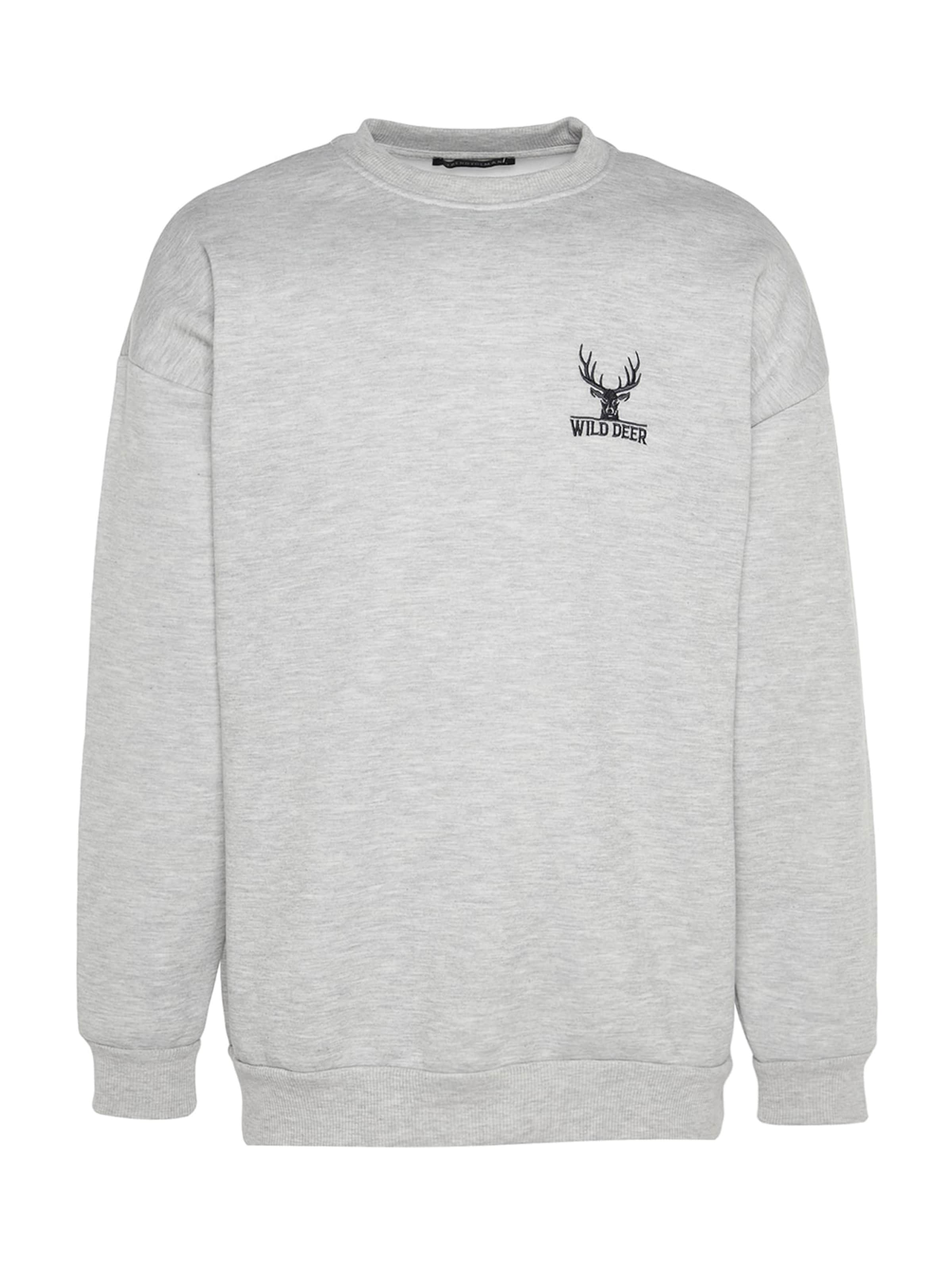 Trendyol Sweatshirt i grå: framsida