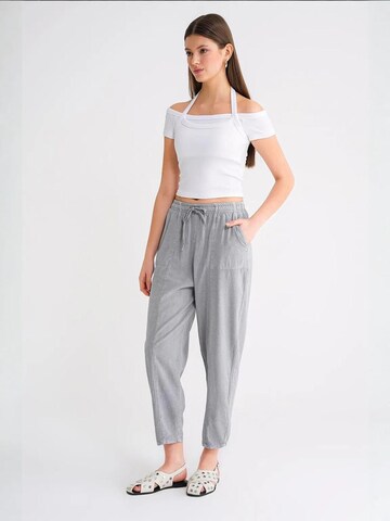 Pantaloni de la MixRay pe gri: față