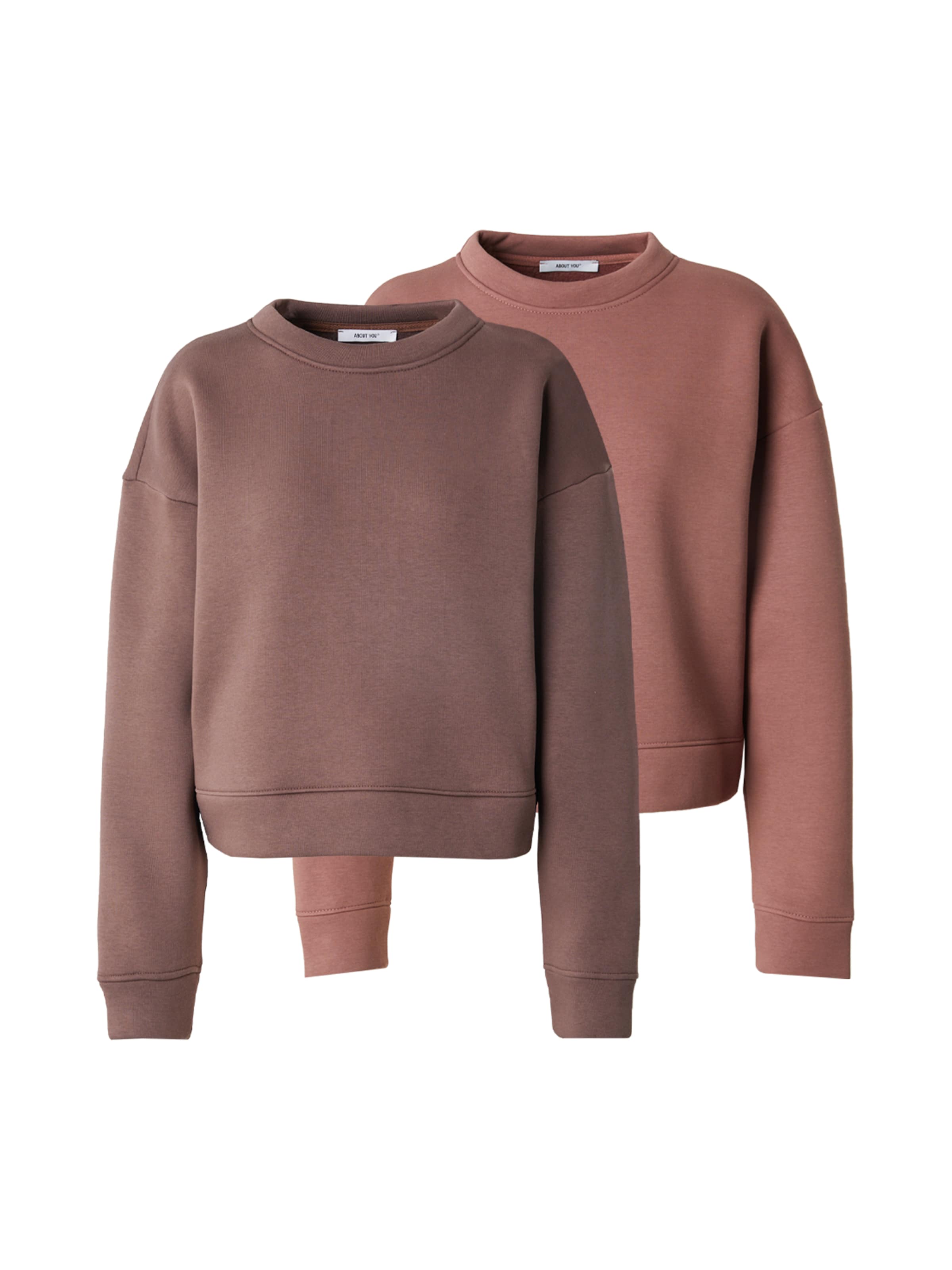 ABOUT YOU Sweatshirt &#x27;Daniela&#x27; in Brown: front
