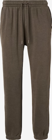 Abercrombie & Fitch - Tapered Pantalón 'CHOCOLATE CHIP' en marrón: frente