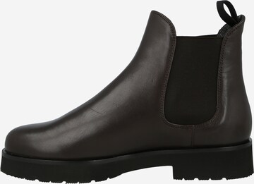 Högl Chelsea Boots 'Attention' in Brown