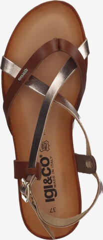 IGI&CO T-Bar Sandals in Brown