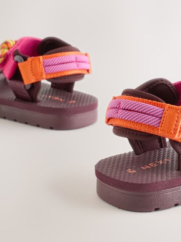 Next Sandal in Purple