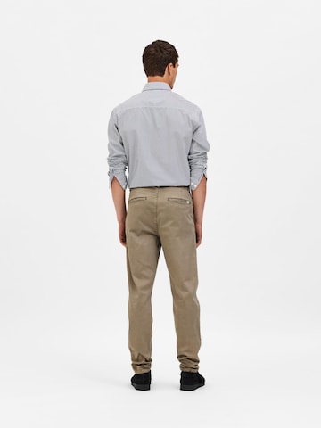 SELECTED HOMME Tapered Pants 'RONAN' in Green