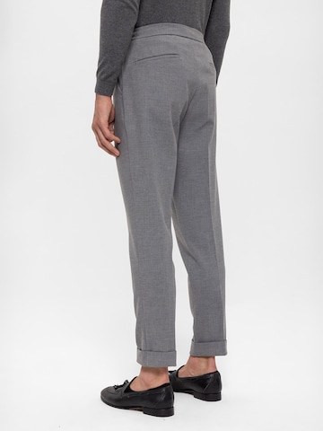 Antioch Regular Pleat-front trousers in Grey