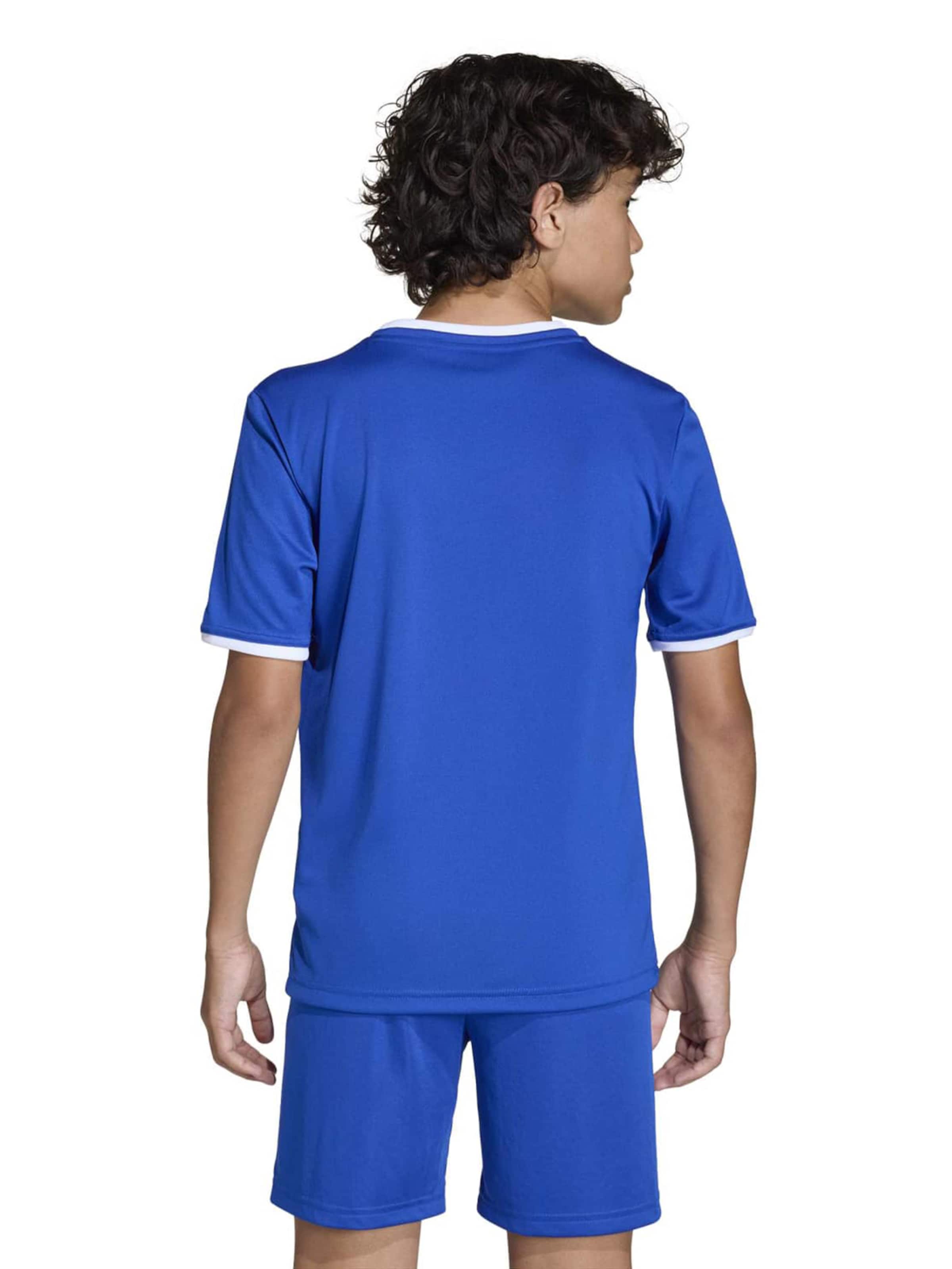 ADIDAS PERFORMANCE Performance Shirt 'ENT26' in Blue