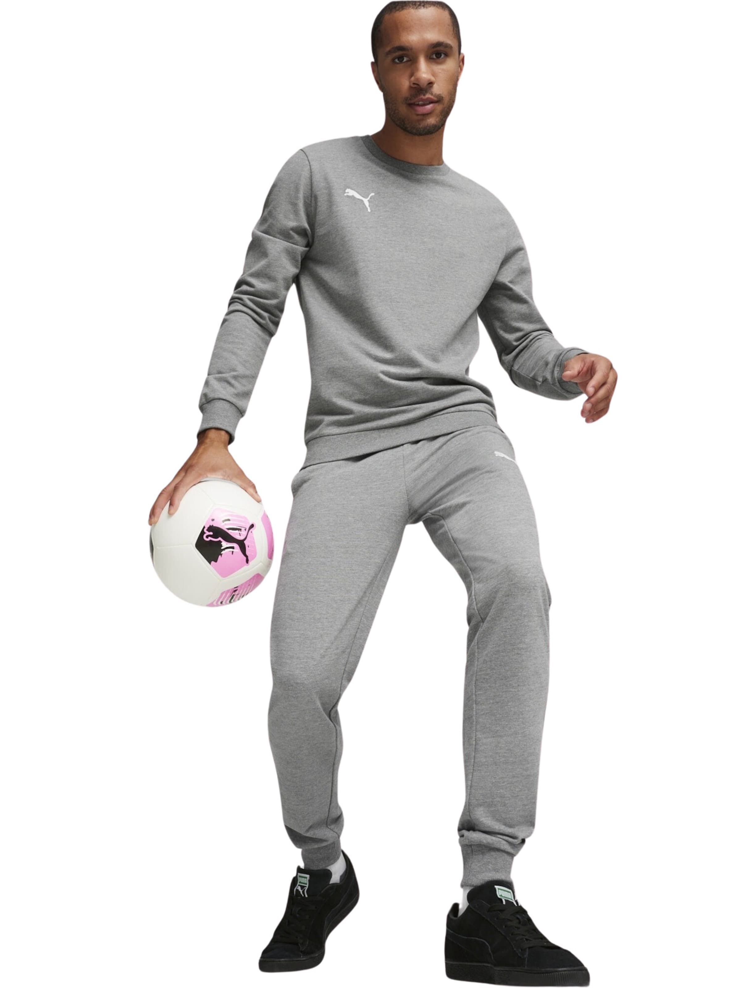 Tapered Pantaloni sportivi 'Team Goal' di PUMA in grigio