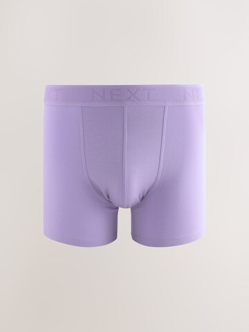 Next Trunks in Mischfarben