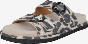 Crickit Sandalen met riem ' RINA ' in Beige: voorkant