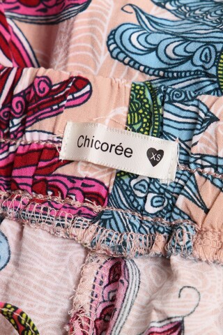 Chicorée Shorts XS in Pink
