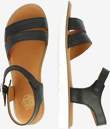 Apple of Eden Sandals in Black