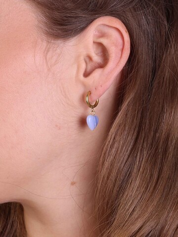 Boucles d'oreilles Lucardi en or : devant