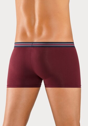 BENCH Boxer shorts in Mixed colors